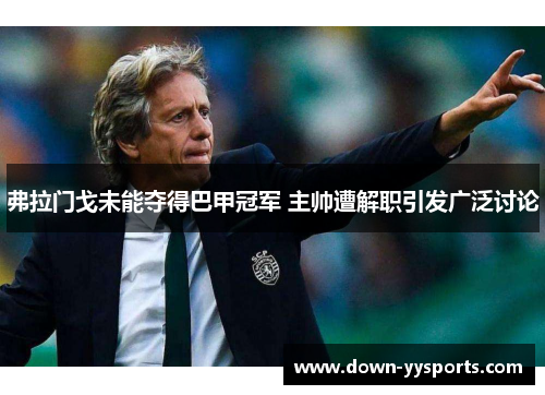 弗拉门戈未能夺得巴甲冠军 主帅遭解职引发广泛讨论